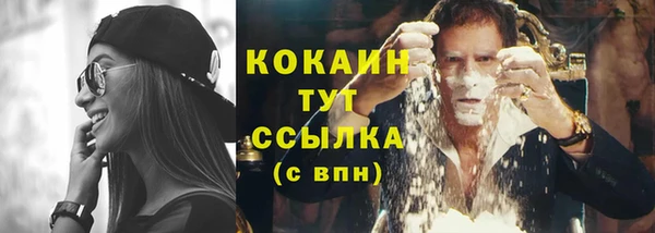амф Переславль-Залесский