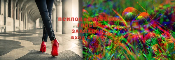 соль курить ск Пересвет