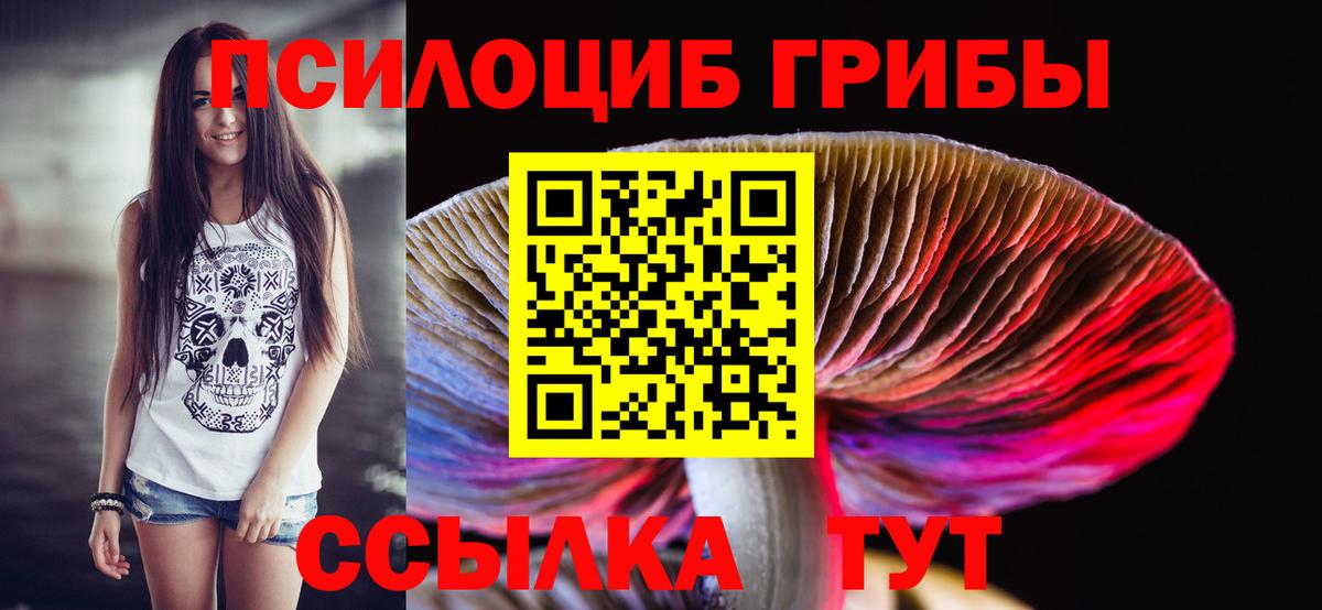 Псилоцибиновые грибы Magic Shrooms Черногорск