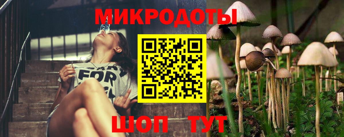 Псилоцибиновые грибы Cubensis  Вход с VPN  Черногорск 