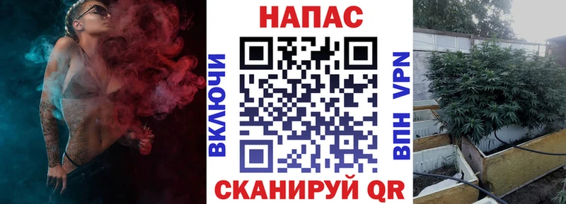 Канабис ГИДРОПОН Черногорск
